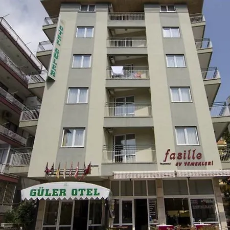 酒店 Guler 3*